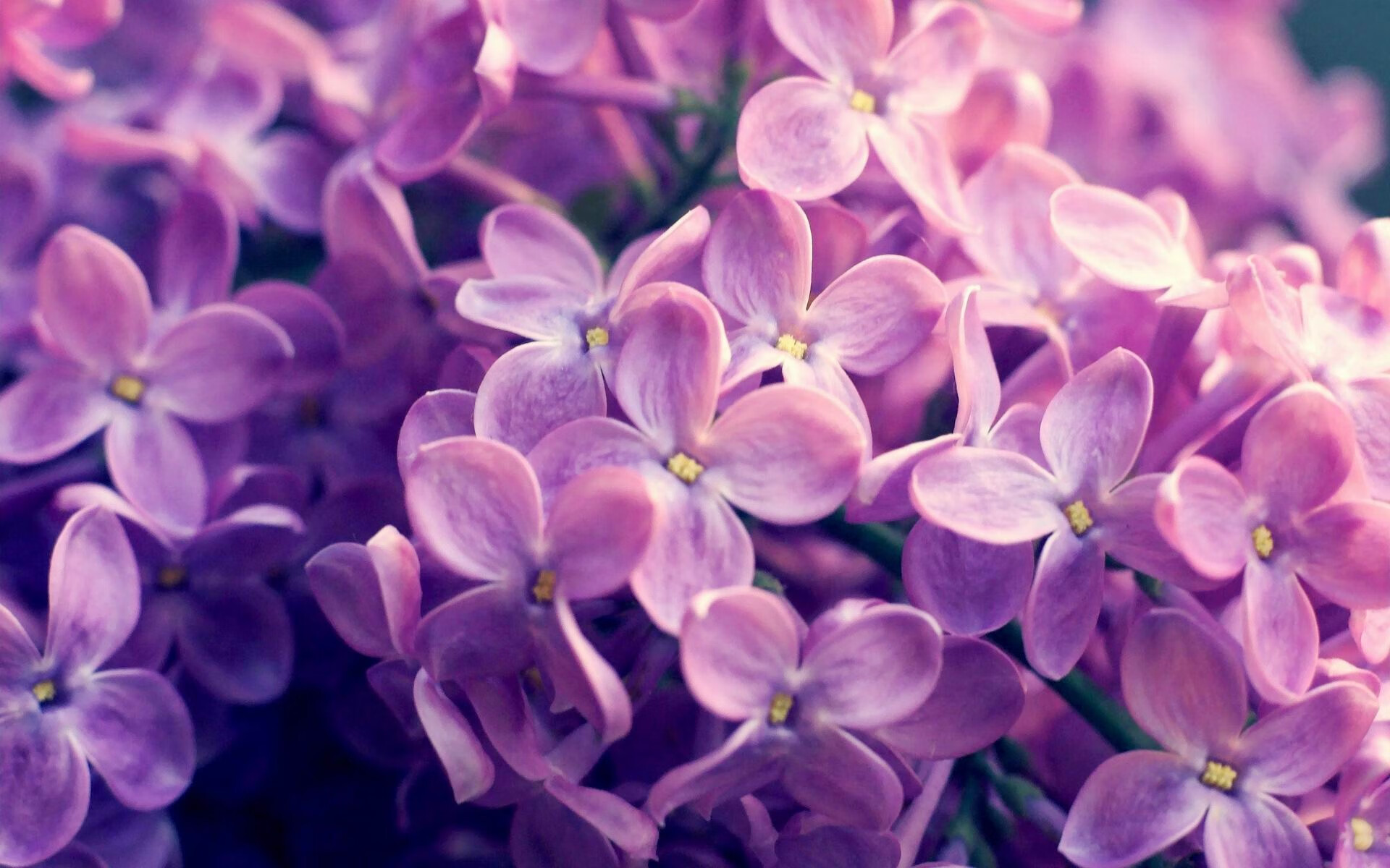 九游体育网站-电竞赛事安全保障措施加强，电子竞技赛事的风险管理