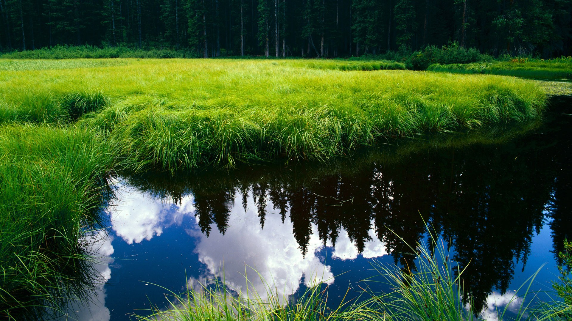失误后的防守反应速度影响胜负,防守效率和防守失分区别吗