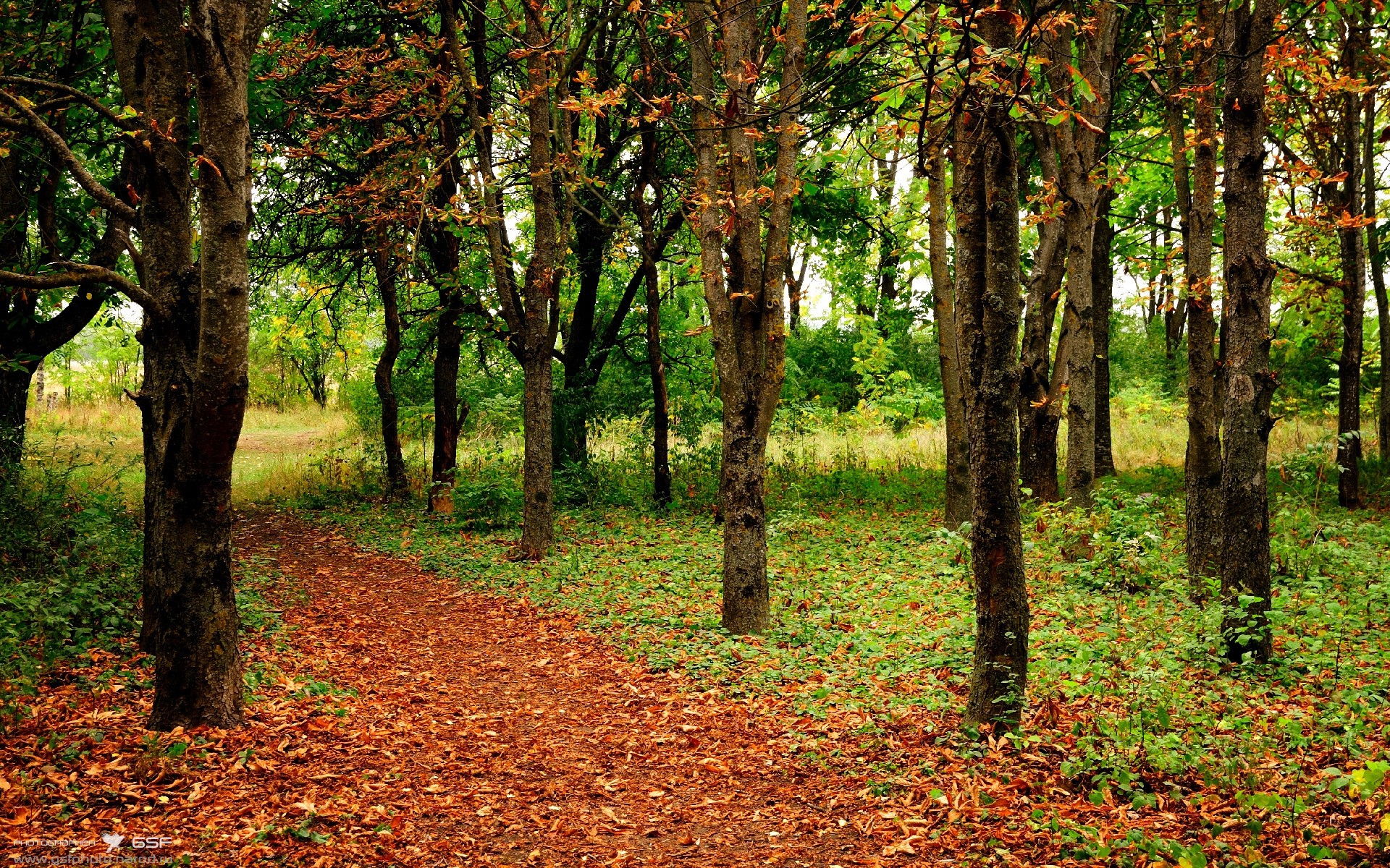 攀岩运动项目受青少年喜爱,攀岩运动项目受青少年喜爱吗