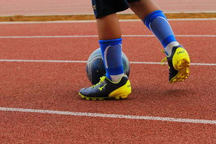 -明星球员带动体育产业发展，打造体育明星的弊端