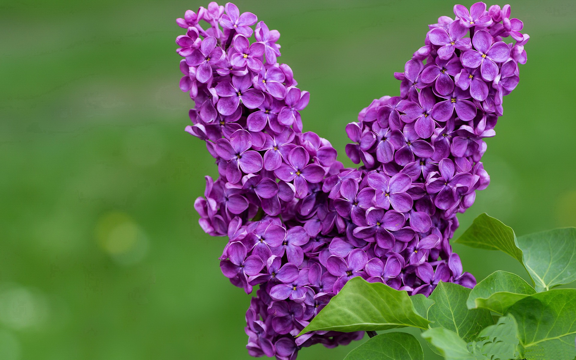 快船锋线球员展现篮下终结能力受到称赞,快船巅峰时期球员名单